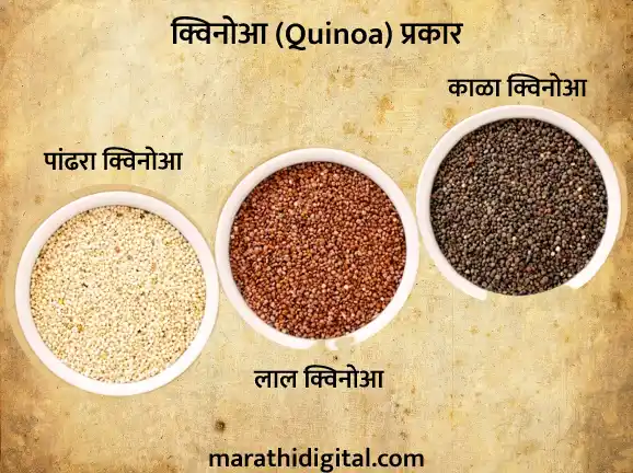 types of quinoa marathi